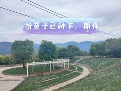 -牛岗山公园