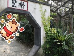 -广西壮族自治区药用植物园