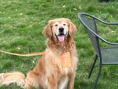 -中国天府农业博览园