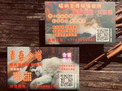 -喵屿·大理花园猫咖