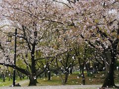 -苏州上方山国家森林公园