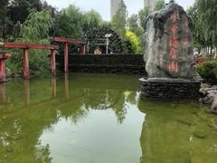 -水车博览园