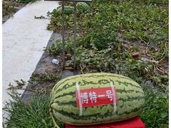 -长春农业博览园