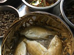 -圆蛋酒料•生腌(开元路店)