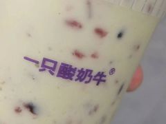 -一只酸奶牛(春熙路店)