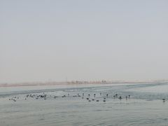 -白洋淀景区