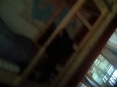 -巢爷老味(东方红店)