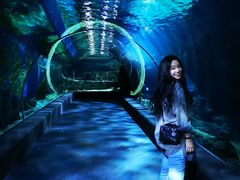 -暹罗海洋世界
