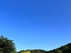 -棒棰岛宾馆景区