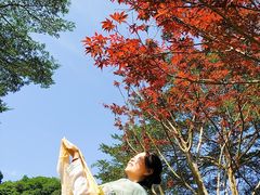 -广州市帽峰山景区