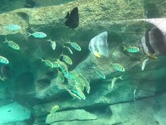 -波塞冬旅游度假区