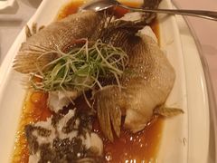 笋壳鱼-顺风海鲜港(金玉兰店)