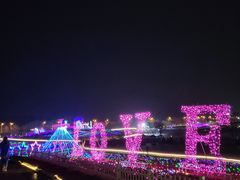 -大塘金香草谷