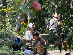 -青龙山国家森林公园