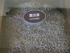 -厦门日月谷温泉渡假村