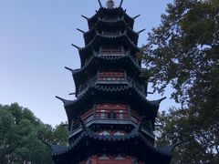 -上海佘山国家森林公园西佘山园