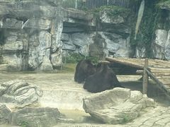-贵州森林野生动物园