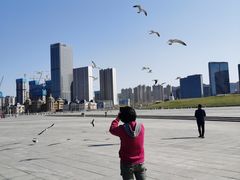 -大连星海广场音乐喷泉