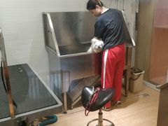 狗狗洗澡-Pets First伊珊娜洗护·精致美容·家庭式寄养(新会路店)