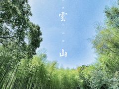 -缙云山景区