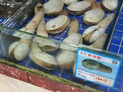 -鸿港海鲜批发市场