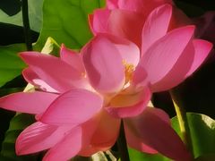 -云居湖