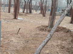 -秦皇岛野生动物园