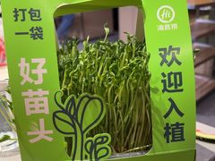 -海底捞火锅(吾悦广场店)