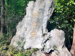 -音乐台