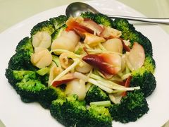 西兰花彩贝带子-广东胜利宾馆西关粤中餐厅