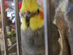 -东四民芳餐厅(世茂工三店)