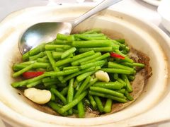砂锅长杆茼蒿-同庆楼(大钟寺店)