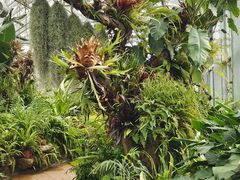 -国家植物园南园