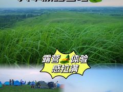 -恋山坝上草原