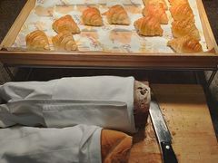 -圣雷克大酒店-爱琴海自助餐厅