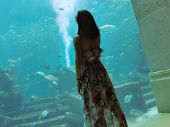 -迪拜帆船酒店海底餐厅