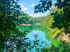 -广州市流溪河国家森林公园