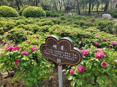 -洛阳市隋唐城遗址植物园