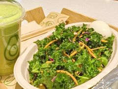 -油梨树 AVOCADO TREE(亮马桥店)