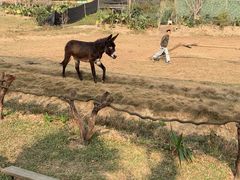 -李小龙乐园(顺德均安店)