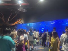-江和美海洋公园