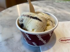 -哈根达斯(朝阳大悦城店)