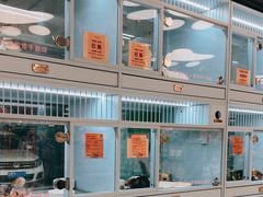 -FAELING PETS美天灵宠物(合生汇店)