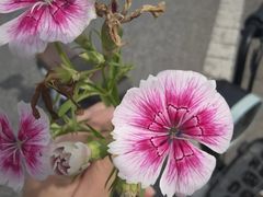 -大泽山风景名胜区