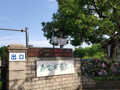 -嘉定紫藤园