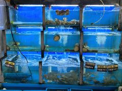 -老东镇啤酒屋海鲜加工·蒸汽海鲜·海鲜烧烤(台东店)