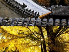 -潭柘寺景区