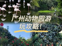 -广州动物园