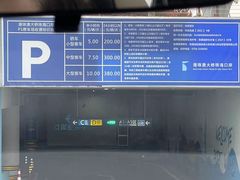-新记车仔面