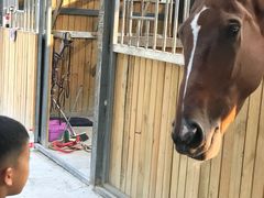 -月河湾马术俱乐部(朝阳店)